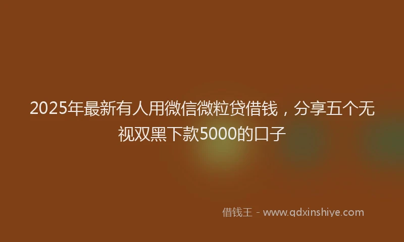 2025年最新有人用微信微粒贷借钱，分享五个无视双黑下款5000的口子