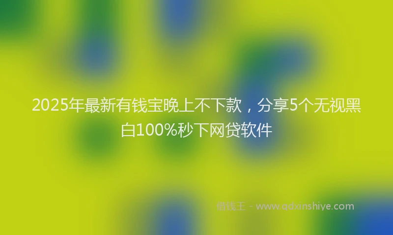 2025年最新有钱宝晚上不下款，分享5个无视黑白100%秒下网贷软件
