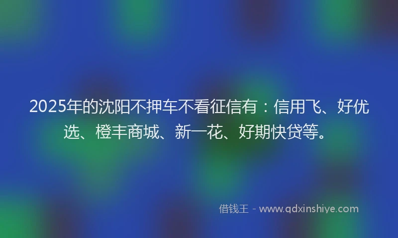 2025年的沈阳不押车不看征信有：信用飞、好优选、橙丰商城、新一花、好期快贷等。