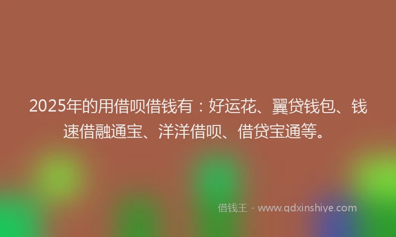 2025年的用借呗借钱有：好运花、翼贷钱包、钱速借融通宝、洋洋借呗、借贷宝通等。