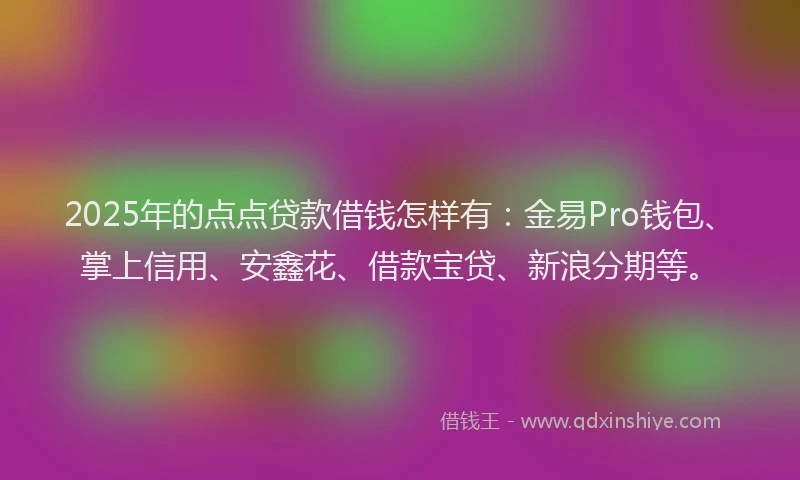 2025年的点点贷款借钱怎样有：金易Pro钱包、掌上信用、安鑫花、借款宝贷、新浪分期等。
