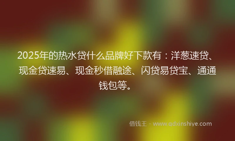2025年的热水贷什么品牌好下款有：洋葱速贷、现金贷速易、现金秒借融途、闪贷易贷宝、通通钱包等。