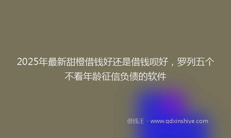 2025年最新甜橙借钱好还是借钱呗好，罗列五个不看年龄征信负债的软件