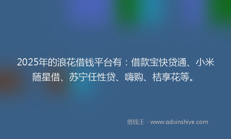 2025年的浪花借钱平台有：借款宝快贷通、小米随星借、苏宁任性贷、嗨购、桔享花等。