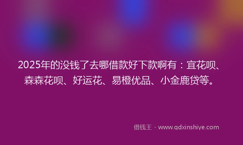 2025年的没钱了去哪借款好下款啊有：宜花呗、森森花呗、好运花、易橙优品、小金鹿贷等。