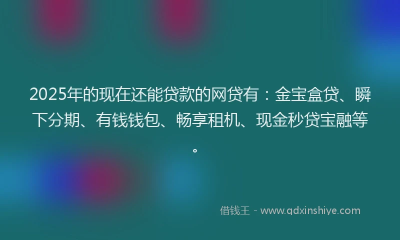 2025年的现在还能贷款的网贷有：金宝盒贷、瞬下分期、有钱钱包、畅享租机、现金秒贷宝融等。