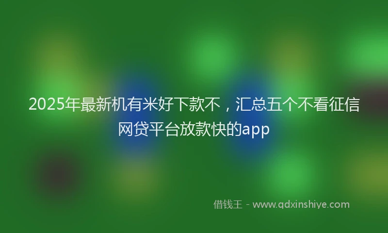 2025年最新机有米好下款不，汇总五个不看征信网贷平台放款快的app