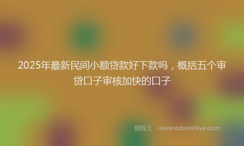 2025年最新民间小额贷款好下款吗，概括五个审贷口子审核加快的口子