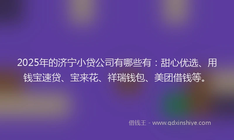 2025年的济宁小贷公司有哪些有：甜心优选、用钱宝速贷、宝来花、祥瑞钱包、美团借钱等。