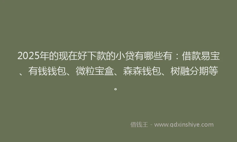 2025年的现在好下款的小贷有哪些有：借款易宝、有钱钱包、微粒宝盒、森森钱包、树融分期等。