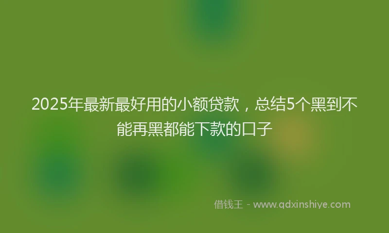 2025年最新最好用的小额贷款，总结5个黑到不能再黑都能下款的口子