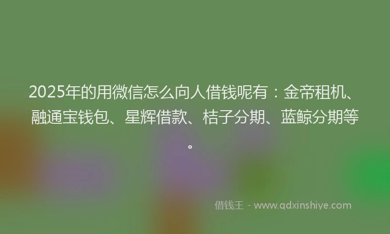 2025年的用微信怎么向人借钱呢有：金帝租机、融通宝钱包、星辉借款、桔子分期、蓝鲸分期等。