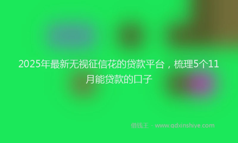 2025年最新无视征信花的贷款平台，梳理5个11月能贷款的口子