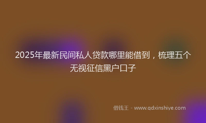2025年最新民间私人贷款哪里能借到，梳理五个无视征信黑户口子