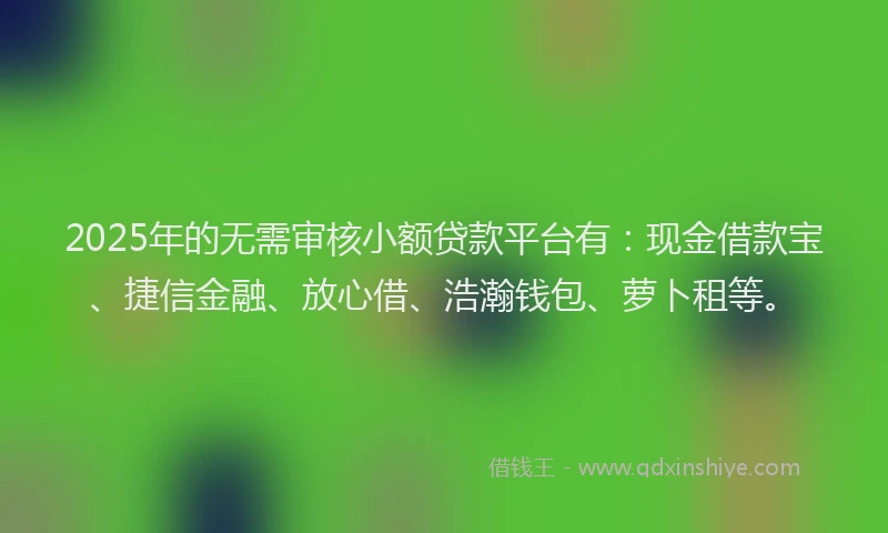 2025年的无需审核小额贷款平台有：现金借款宝、捷信金融、放心借、浩瀚钱包、萝卜租等。