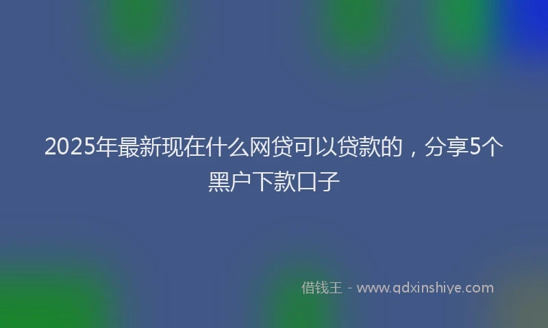 2025年最新现在什么网贷可以贷款的，分享5个黑户下款口子