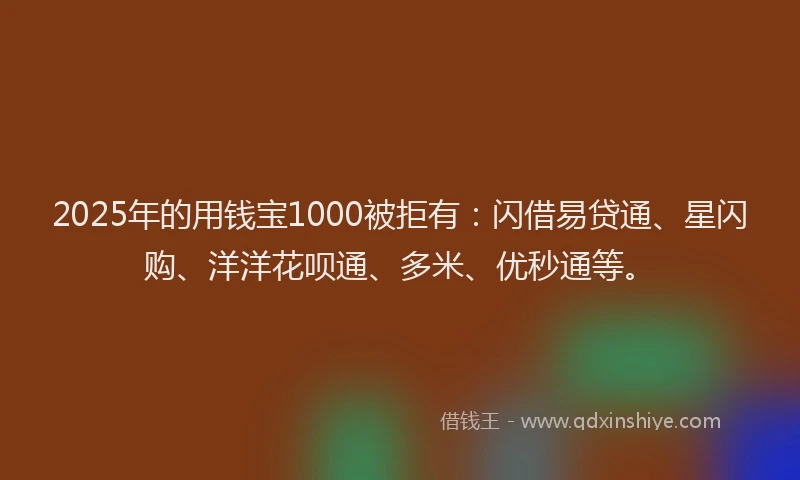 2025年的用钱宝1000被拒有：闪借易贷通、星闪购、洋洋花呗通、多米、优秒通等。