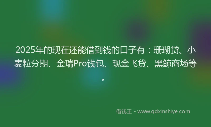 2025年的现在还能借到钱的口子有：珊瑚贷、小麦粒分期、金瑞Pro钱包、现金飞贷、黑鲸商场等。