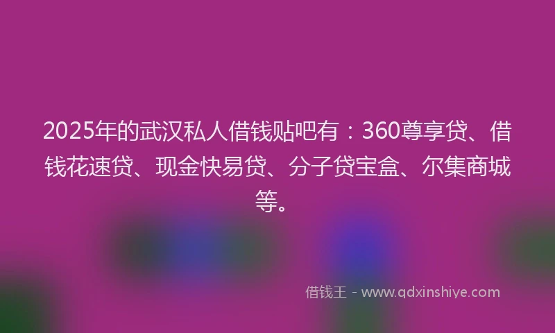 2025年的武汉私人借钱贴吧有：360尊享贷、借钱花速贷、现金快易贷、分子贷宝盒、尔集商城等。