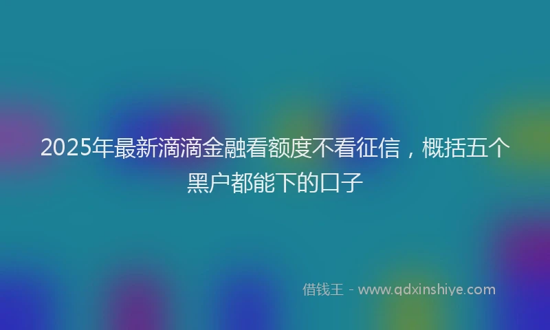 2025年最新滴滴金融看额度不看征信，概括五个黑户都能下的口子