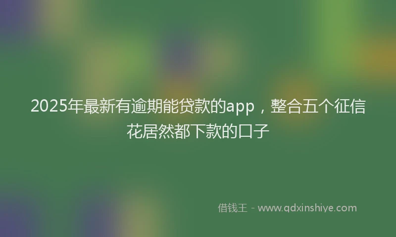 2025年最新有逾期能贷款的app，整合五个征信花居然都下款的口子