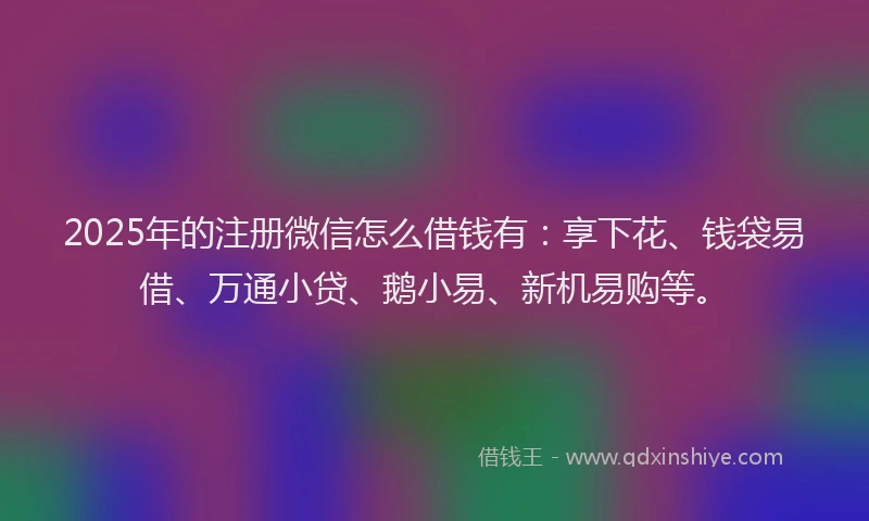 2025年的注册微信怎么借钱有：享下花、钱袋易借、万通小贷、鹅小易、新机易购等。