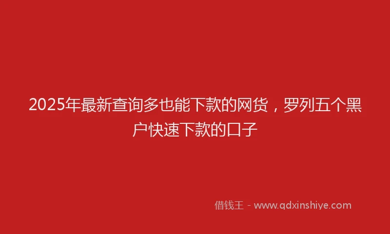 2025年最新查询多也能下款的网货，罗列五个黑户快速下款的口子