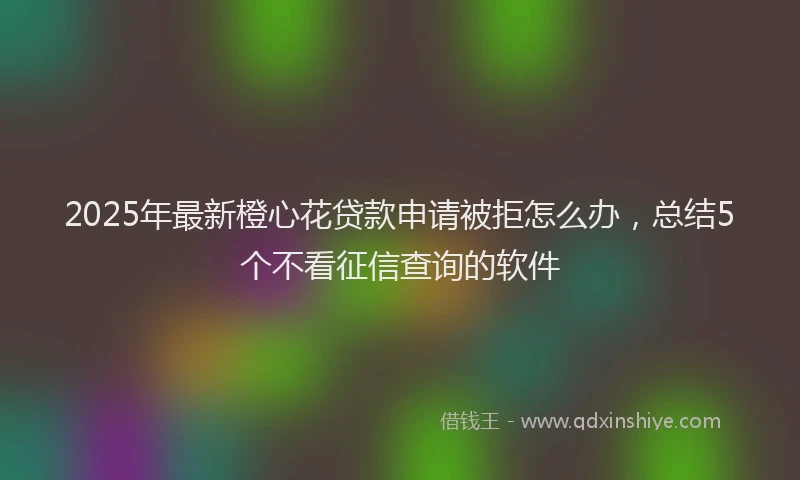 2025年最新橙心花贷款申请被拒怎么办，总结5个不看征信查询的软件