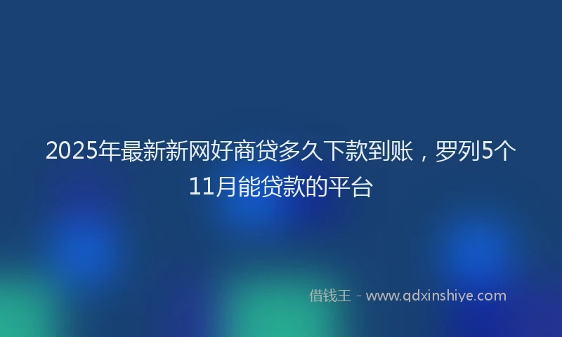 2025年最新新网好商贷多久下款到账，罗列5个11月能贷款的平台
