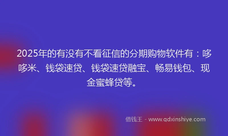 2025年的有没有不看征信的分期购物软件有：哆哆米、钱袋速贷、钱袋速贷融宝、畅易钱包、现金蜜蜂贷等。