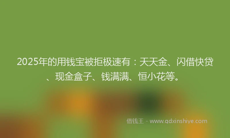 2025年的用钱宝被拒极速有：天天金、闪借快贷、现金盒子、钱满满、恒小花等。