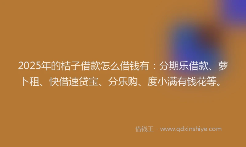 2025年的桔子借款怎么借钱有：分期乐借款、萝卜租、快借速贷宝、分乐购、度小满有钱花等。