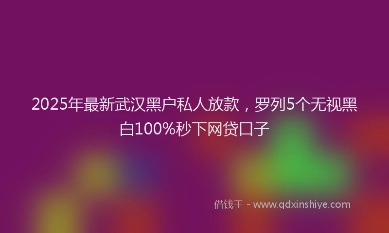 2025年最新武汉黑户私人放款，罗列5个无视黑白100%秒下网贷口子