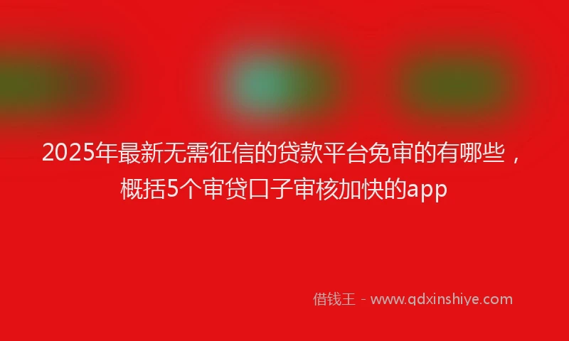 2025年最新无需征信的贷款平台免审的有哪些，概括5个审贷口子审核加快的app