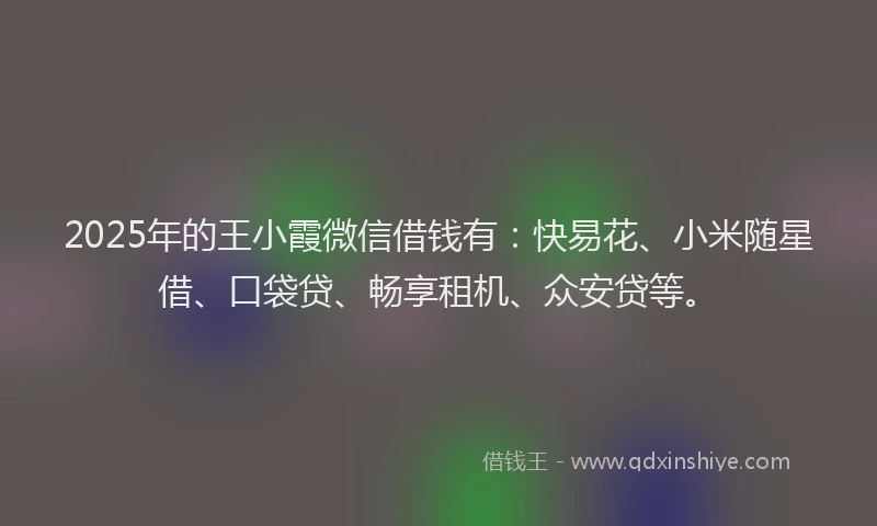 2025年的王小霞微信借钱有：快易花、小米随星借、口袋贷、畅享租机、众安贷等。