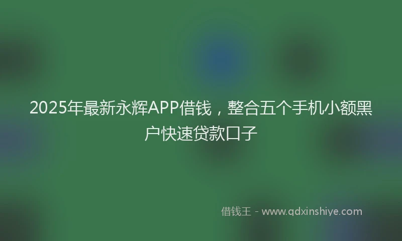 2025年最新永辉APP借钱，整合五个手机小额黑户快速贷款口子