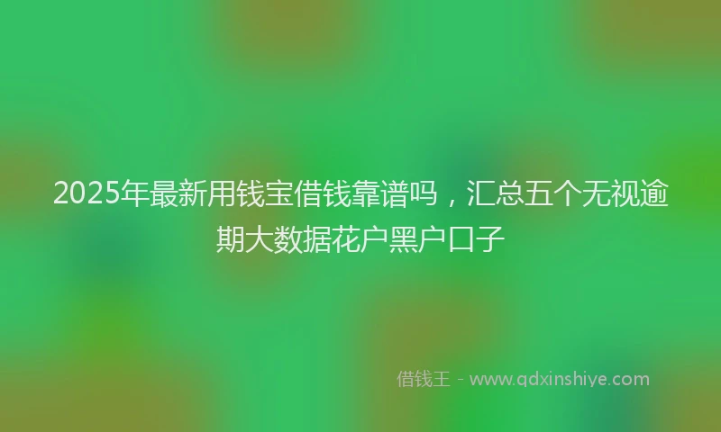2025年最新用钱宝借钱靠谱吗，汇总五个无视逾期大数据花户黑户口子