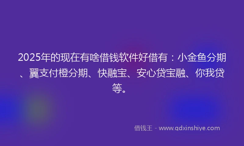 2025年的现在有啥借钱软件好借有：小金鱼分期、翼支付橙分期、快融宝、安心贷宝融、你我贷等。