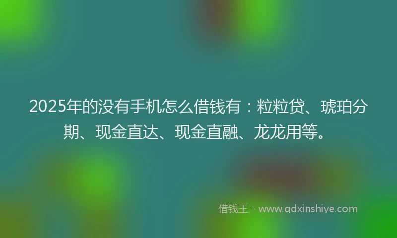 2025年的没有手机怎么借钱有：粒粒贷、琥珀分期、现金直达、现金直融、龙龙用等。