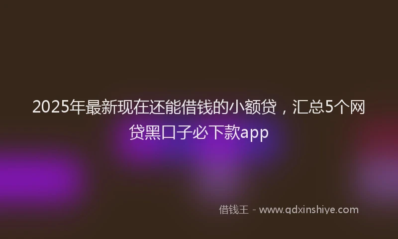 2025年最新现在还能借钱的小额贷，汇总5个网贷黑口子必下款app