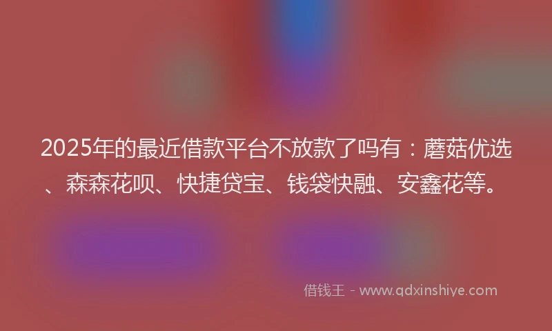 2025年的最近借款平台不放款了吗有：蘑菇优选、森森花呗、快捷贷宝、钱袋快融、安鑫花等。
