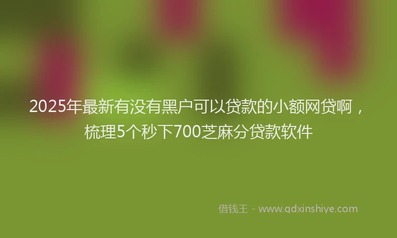 2025年最新有没有黑户可以贷款的小额网贷啊，梳理5个秒下700芝麻分贷款软件