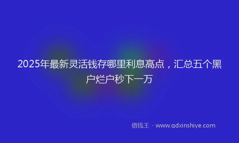 2025年最新灵活钱存哪里利息高点，汇总五个黑户烂户秒下一万