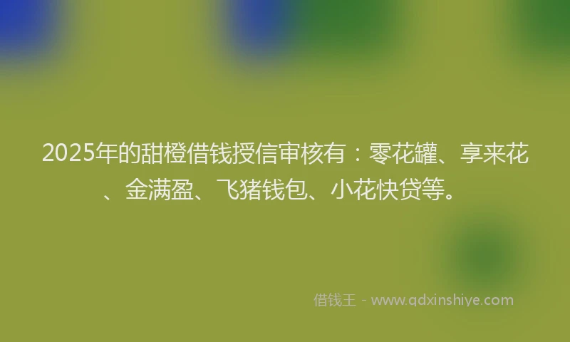 2025年的甜橙借钱授信审核有：零花罐、享来花、金满盈、飞猪钱包、小花快贷等。