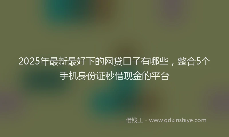 2025年最新最好下的网贷口子有哪些，整合5个手机身份证秒借现金的平台