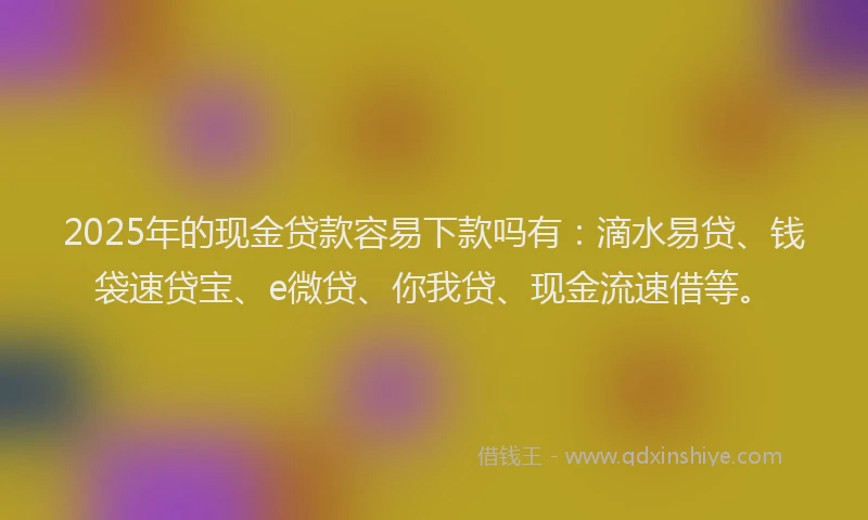 2025年的现金贷款容易下款吗有：滴水易贷、钱袋速贷宝、e微贷、你我贷、现金流速借等。