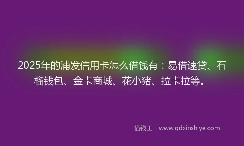 2025年的浦发信用卡怎么借钱有：易借速贷、石榴钱包、金卡商城、花小猪、拉卡拉等。