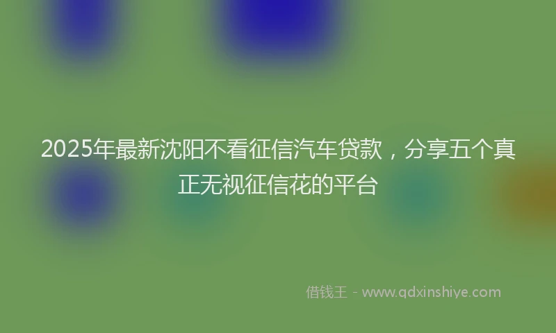 2025年最新沈阳不看征信汽车贷款，分享五个真正无视征信花的平台