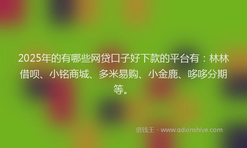 2025年的有哪些网贷口子好下款的平台有：林林借呗、小铭商城、多米易购、小金鹿、哆哆分期等。