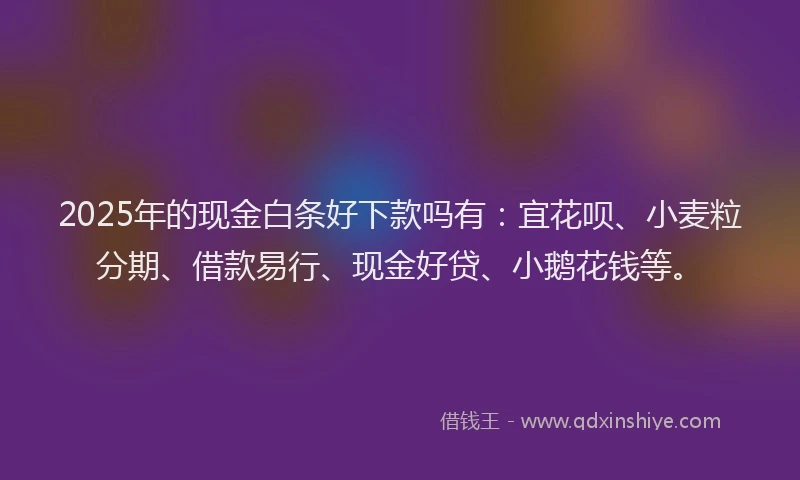 2025年的现金白条好下款吗有：宜花呗、小麦粒分期、借款易行、现金好贷、小鹅花钱等。